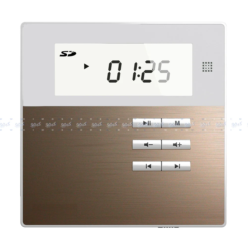 Dsppa M2W Amplifier With 2 Ceiling Speaker - Image 2