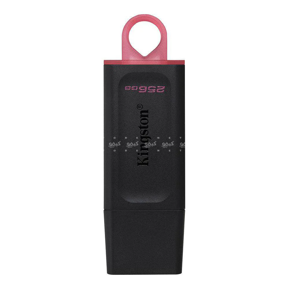 Kingston DataTraveler Exodia 256GB USB 3.2 Flash Memory