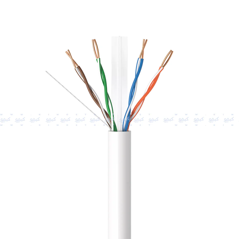 Point Network Cable 100m Cat6 UTP - Image 2