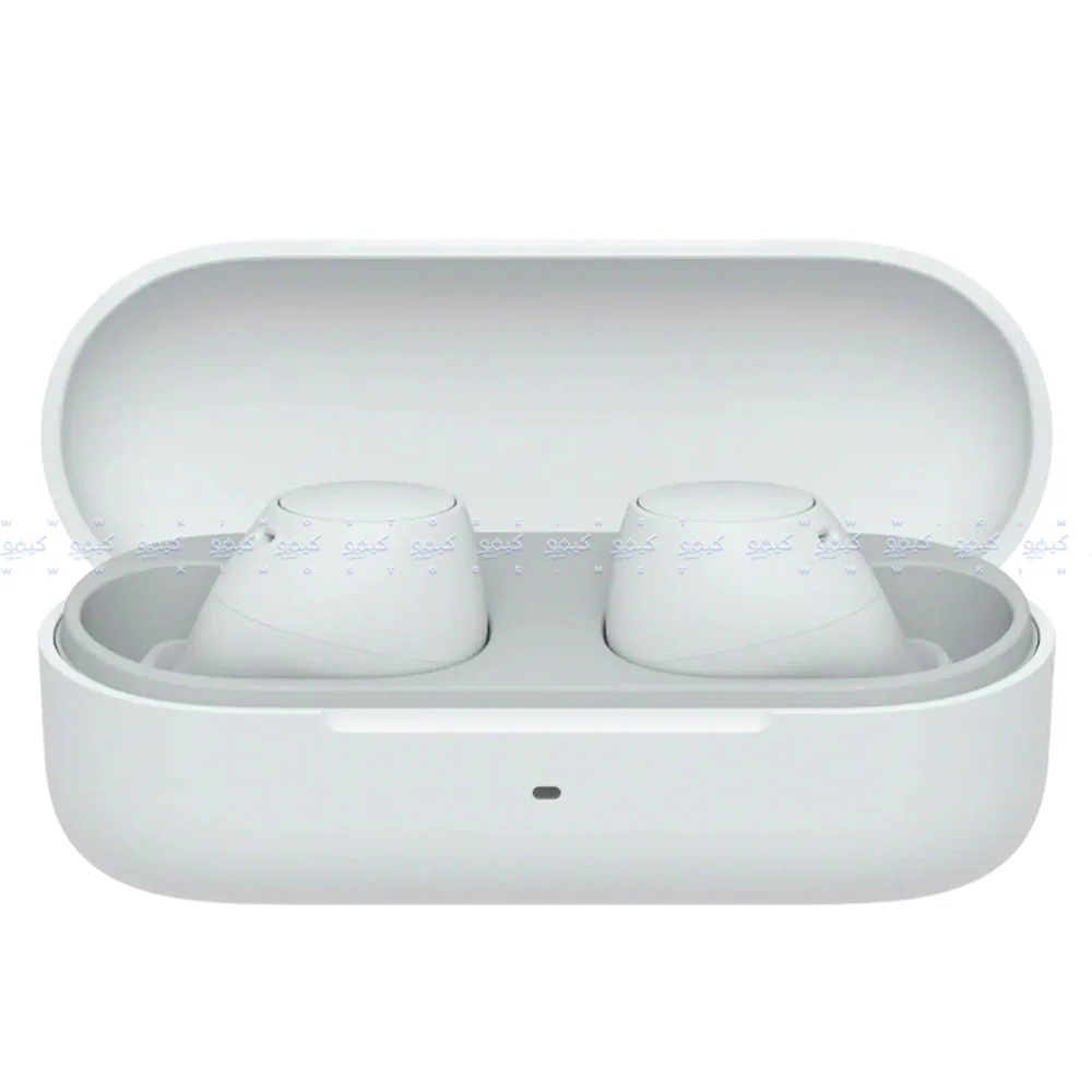 Sony WF-C510 Truly Wireless Earbuds - Image 2