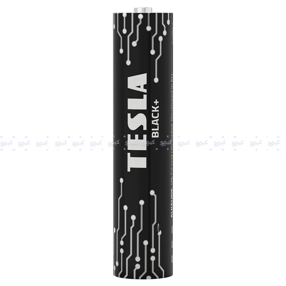 Tesla Black+ AAA (8+2) Pcs Alkaline Battery - Image 2