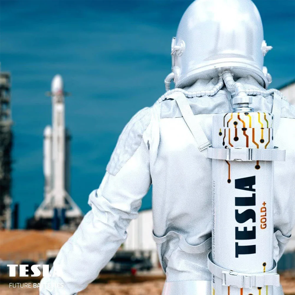 Tesla Gold+ AAA2 Battery - Image 2