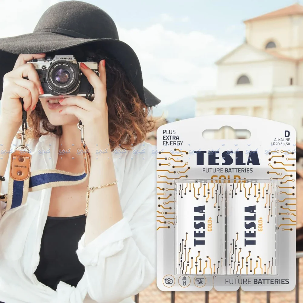 Tesla Gold+ D2 Alkaline Battery - Image 3